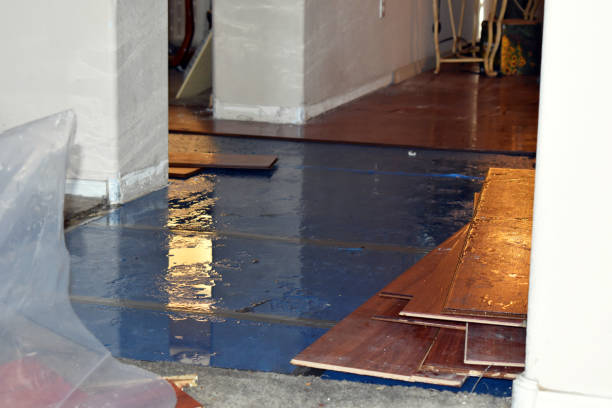 Professional Sewage Cleanup technician working in Warren, IL